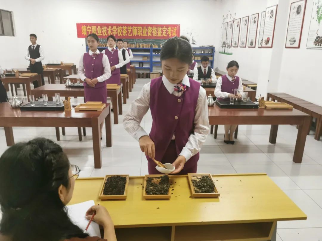 靖宁职校丨茶艺师职业技能等级认定